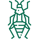 004-grasshopper-1.png